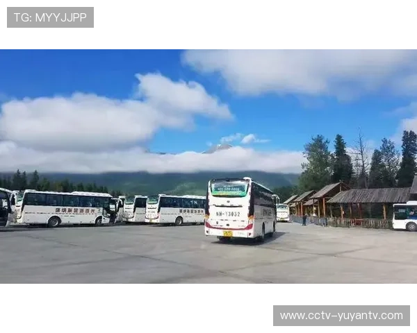 数字票务统一编码规则，实现跨场馆通票通行